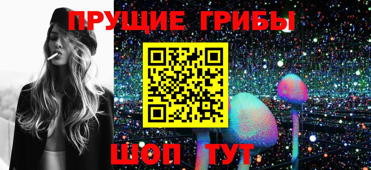 Кингисепп  Псилоцибиновые грибы Psilocybe  Псилоцибиновые грибы GOLDEN TEACHER  Вход с VPN 